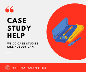 Career Strategies And Tactics In Professional Service Firms